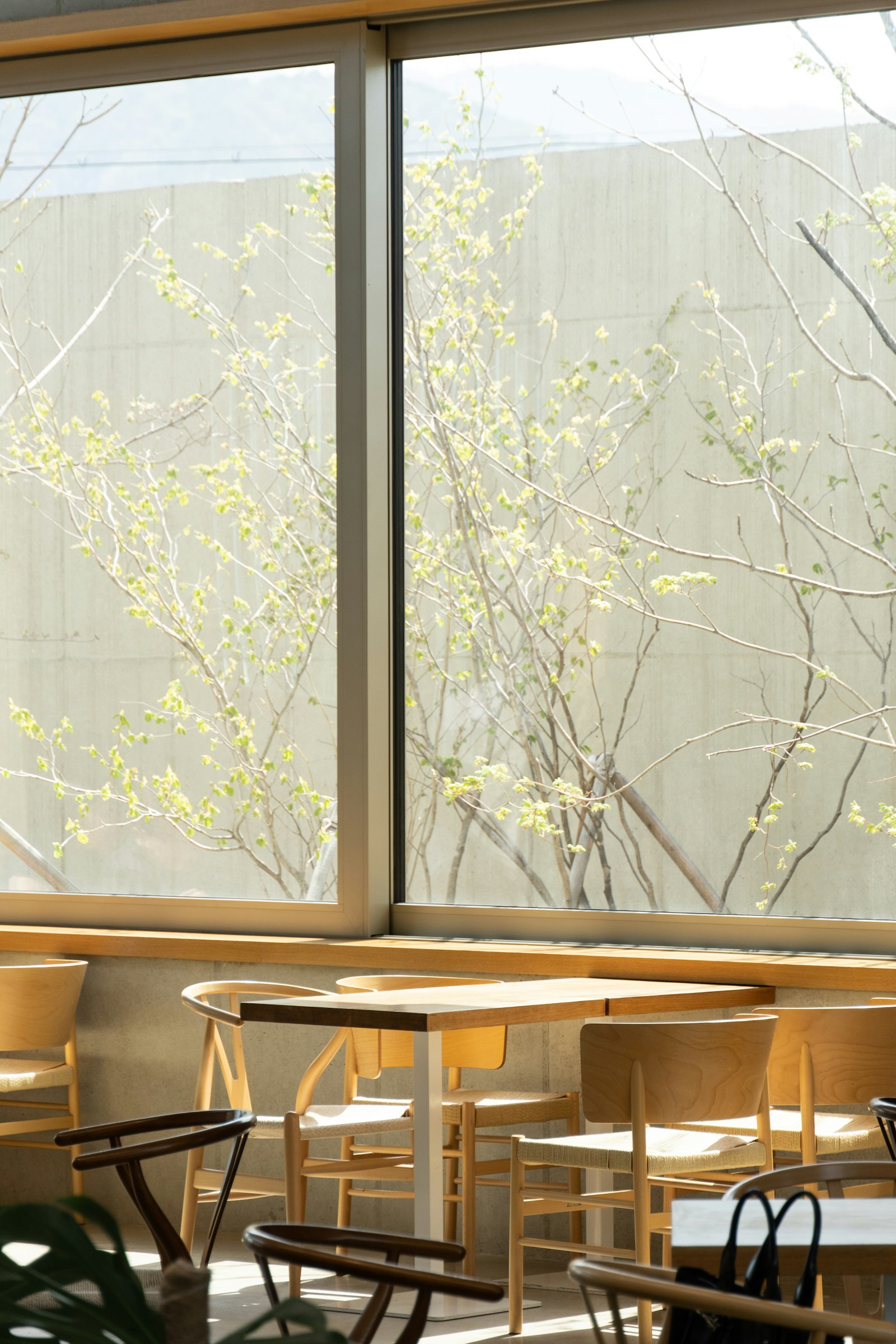 A sunlit cafe with morning light